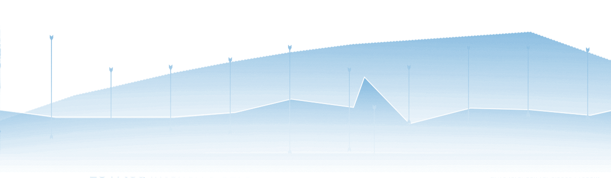 Header-Grafik PDMS: stilisierter Graph